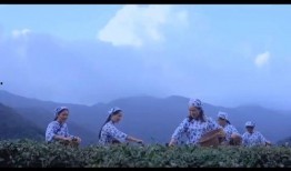 茶生活茶爆料视频