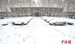 西安爆料大雪事件视频播放,视频播放引发热议