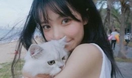 猫咪女孩在线观看,萌动时光，治愈系动画在线观看之旅